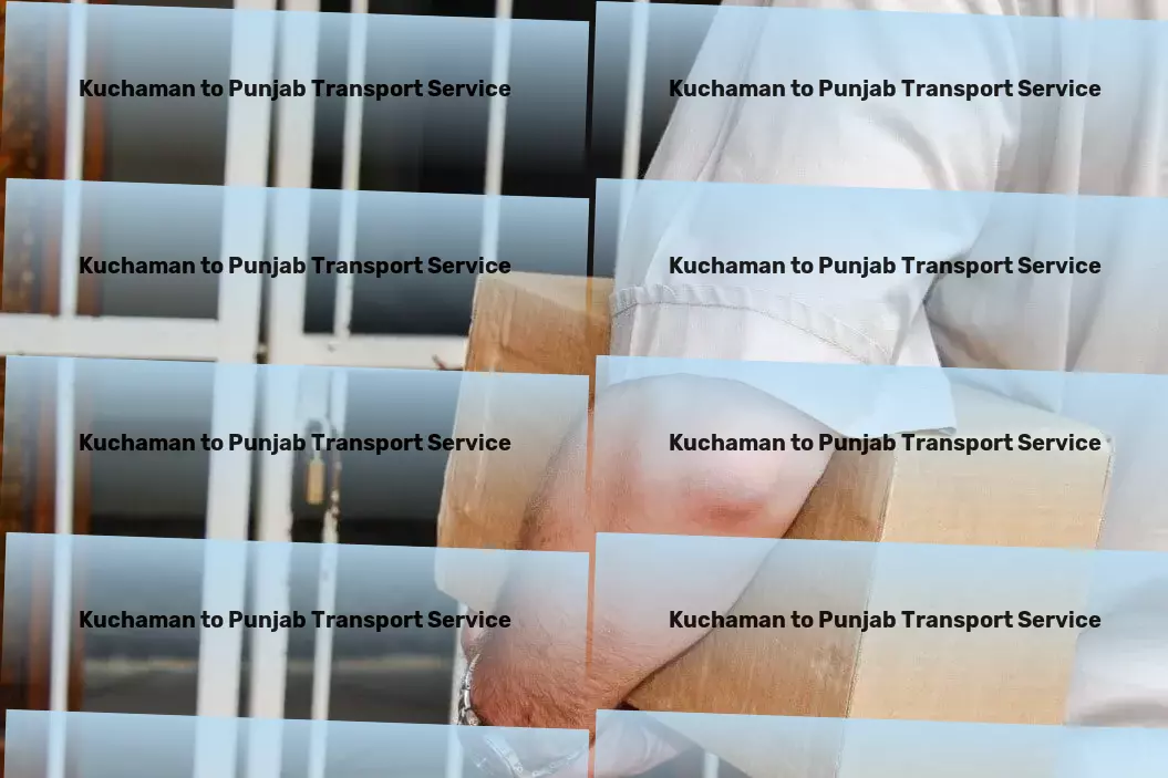 Kuchaman to Punjab Transport Charting new territories in efficient goods transport across India. - Bulk freight transportation