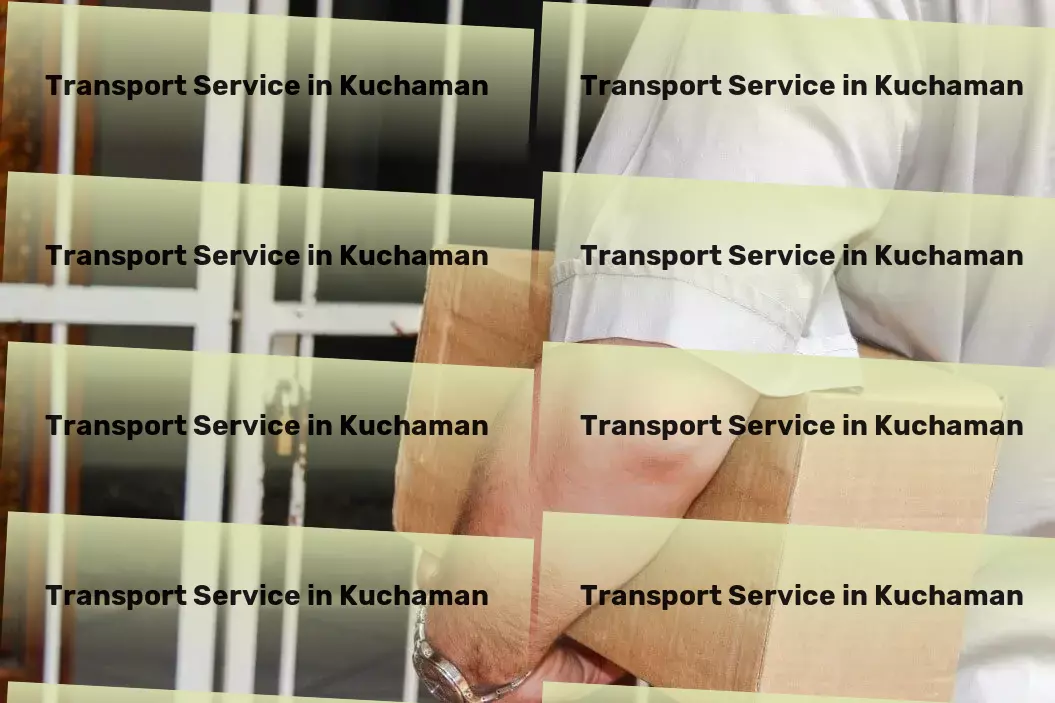 Courier And Parcel in Kuchaman, Rajasthan (RJ) Inventory management services