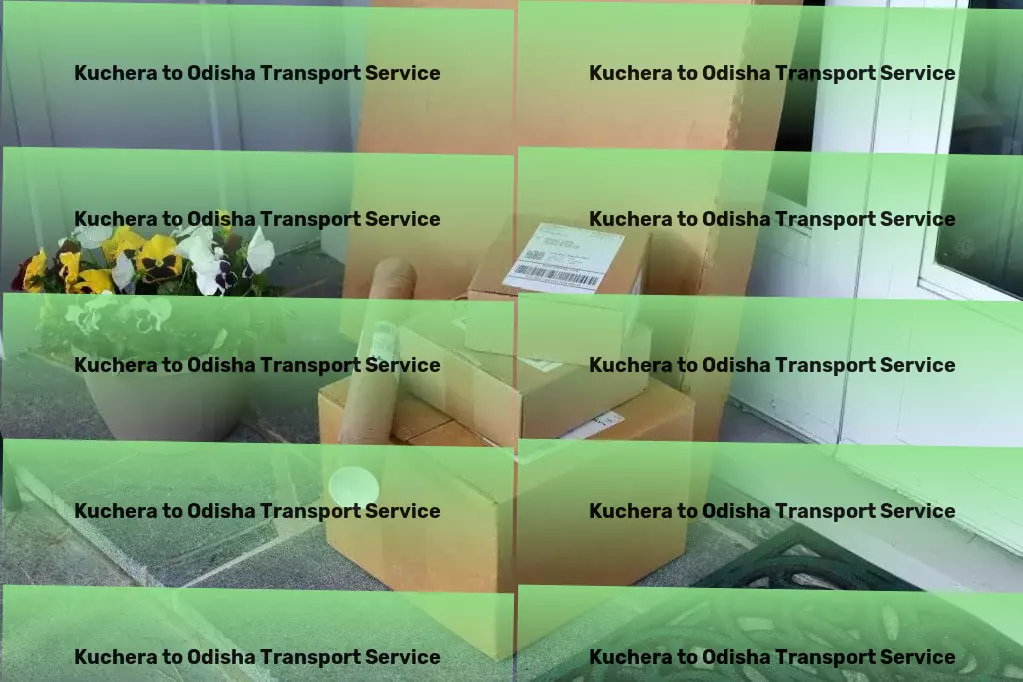 Kuchera to Odisha Transport Affordable transport services