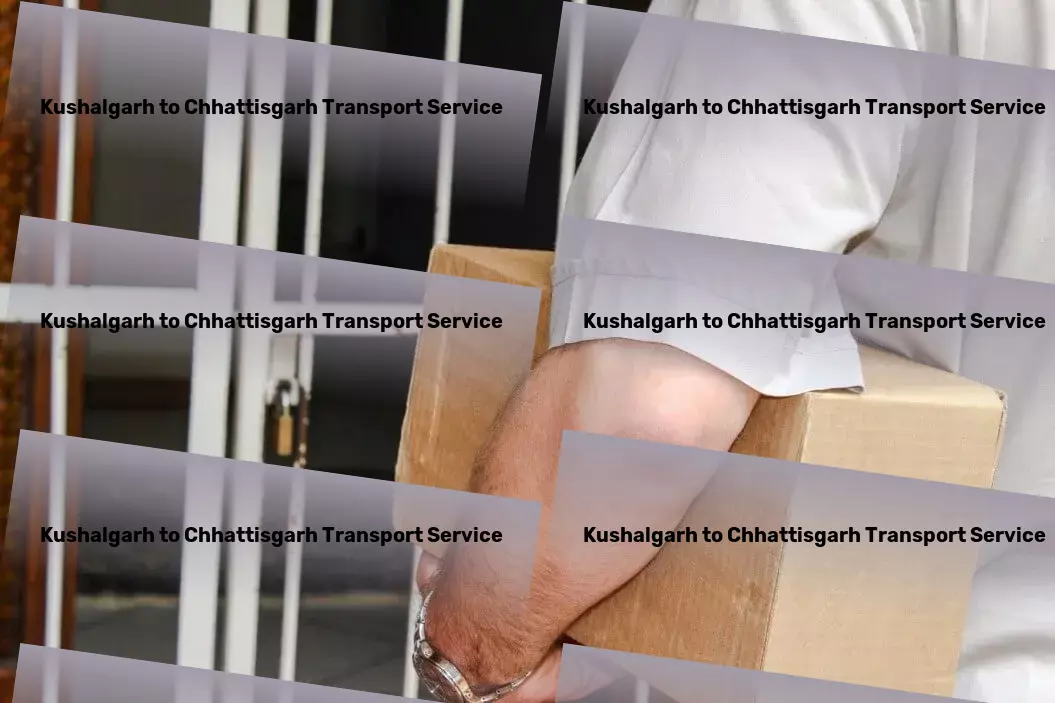 Kushalgarh to Chhattisgarh Transport Beyond boundaries - expanding the scope of Indian transport! - Immediate delivery services