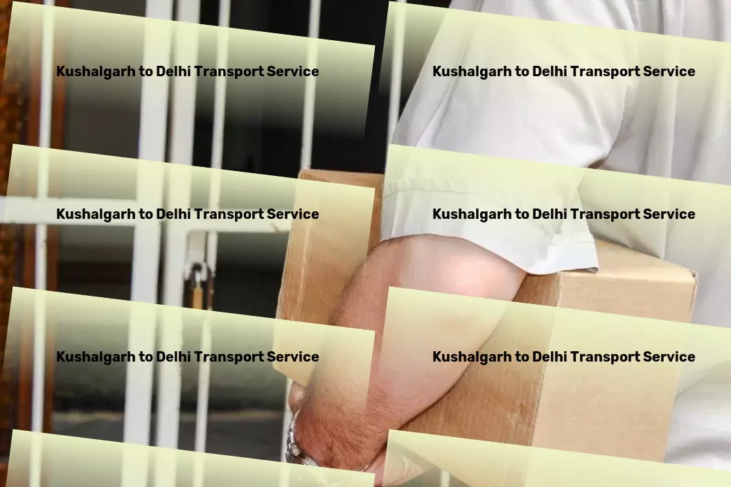 Kushalgarh to Delhi Transport Maximizing efficiency for your logistic needs in India. - Citywide goods logistics