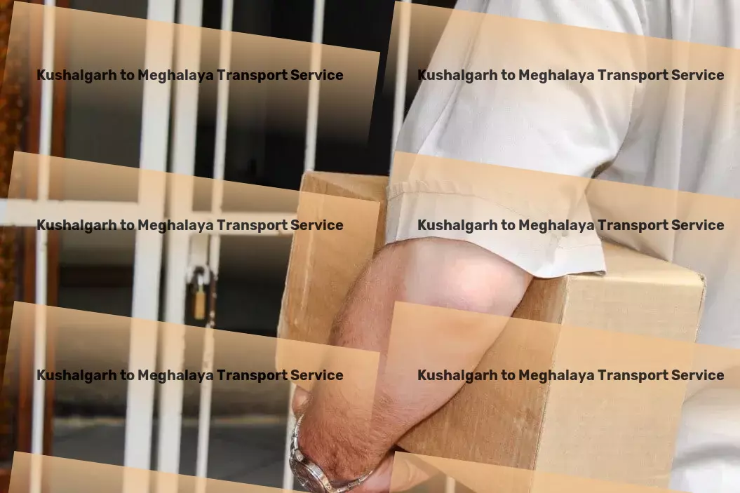 Kushalgarh to Meghalaya Transport Your key to simplified and effective goods movement in India. - Integrated goods services