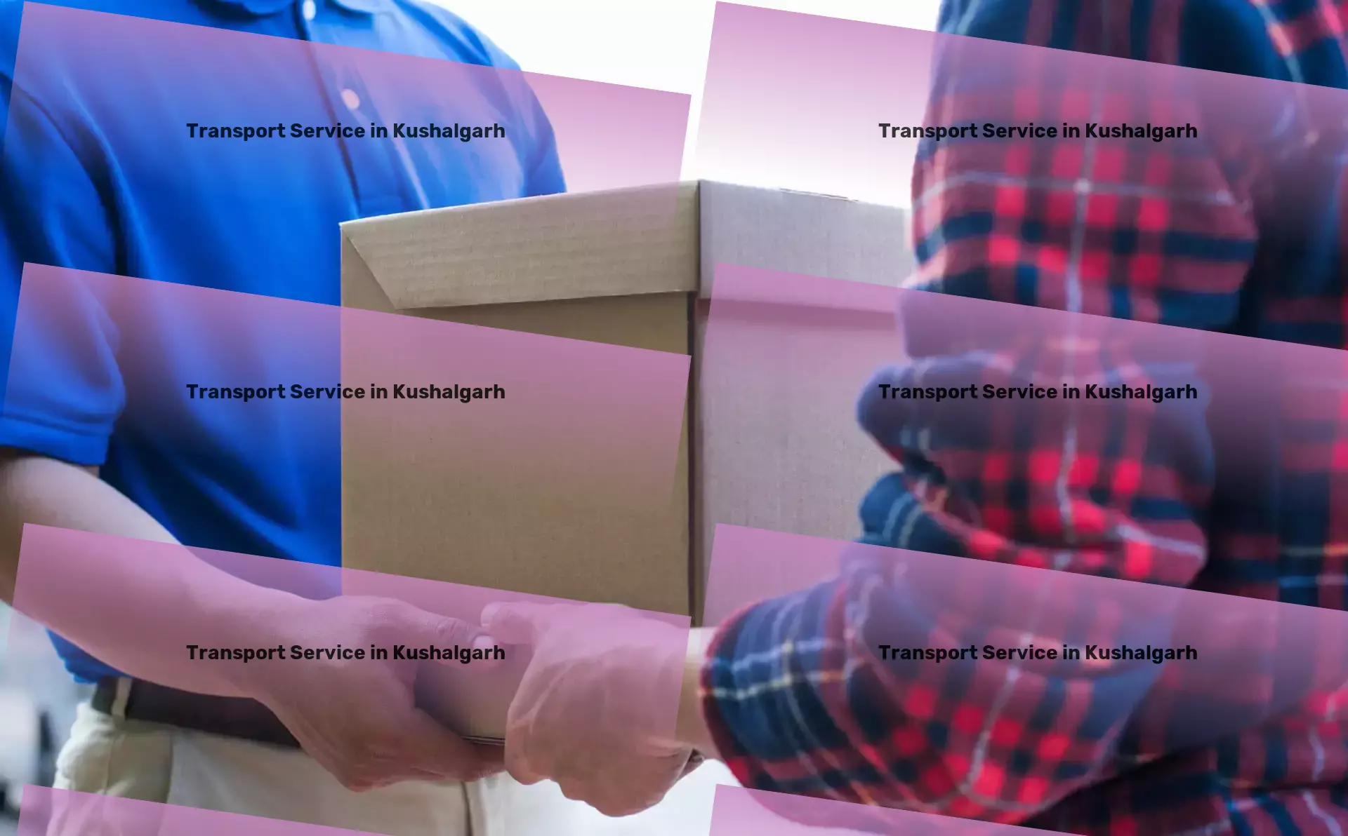 Courier And Parcel in Kushalgarh, Rajasthan (RJ) Full-scale logistics solutions