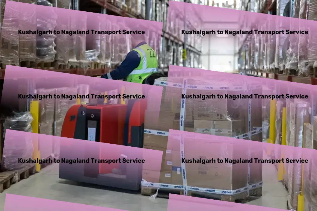 Kushalgarh to Nagaland Transport Advanced freight logistics