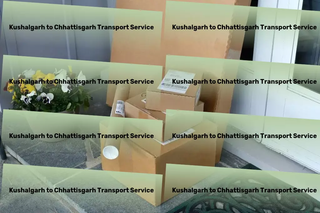 Kushalgarh to Chhattisgarh Transport Express furniture relocation