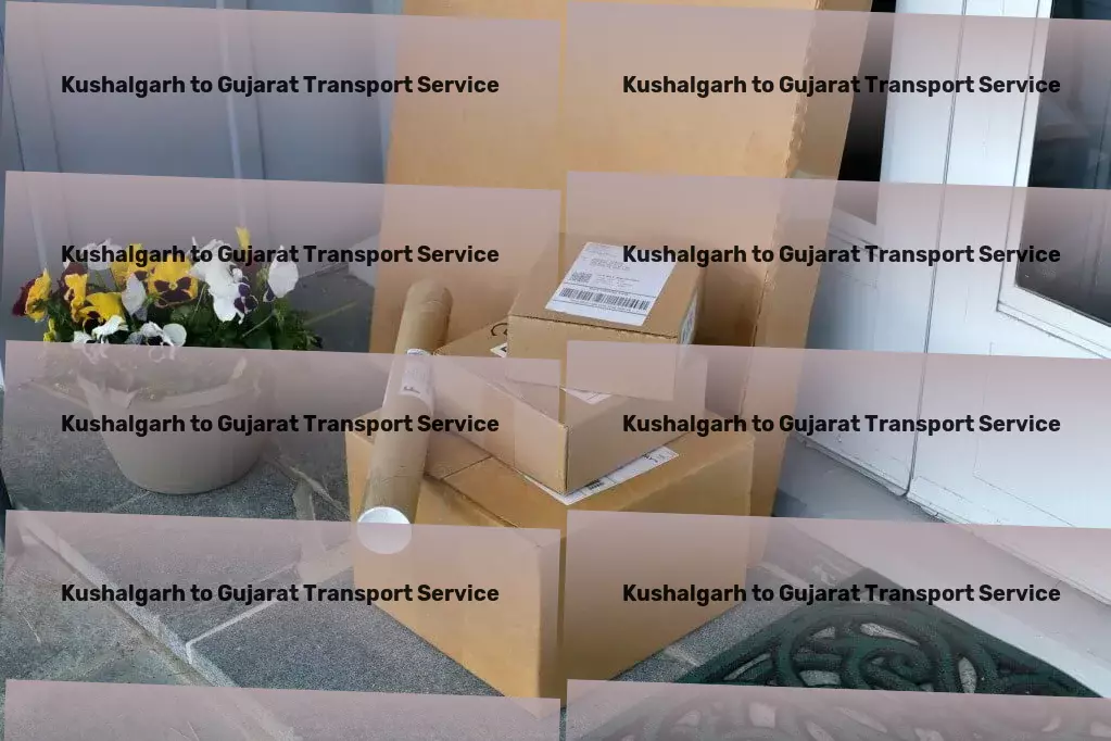 Kushalgarh to Gujarat Transport Customized moving solutions