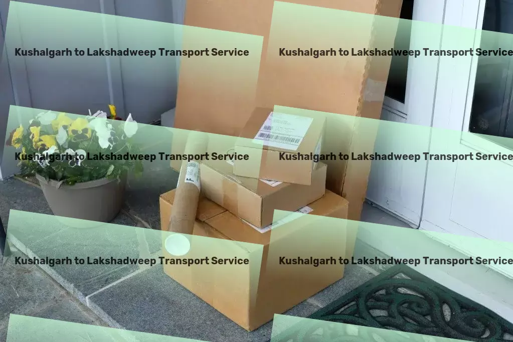 Kushalgarh to Lakshadweep Transport Specialized package shipment