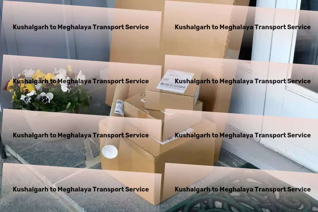 Kushalgarh to Meghalaya Transport Urban cargo forwarding