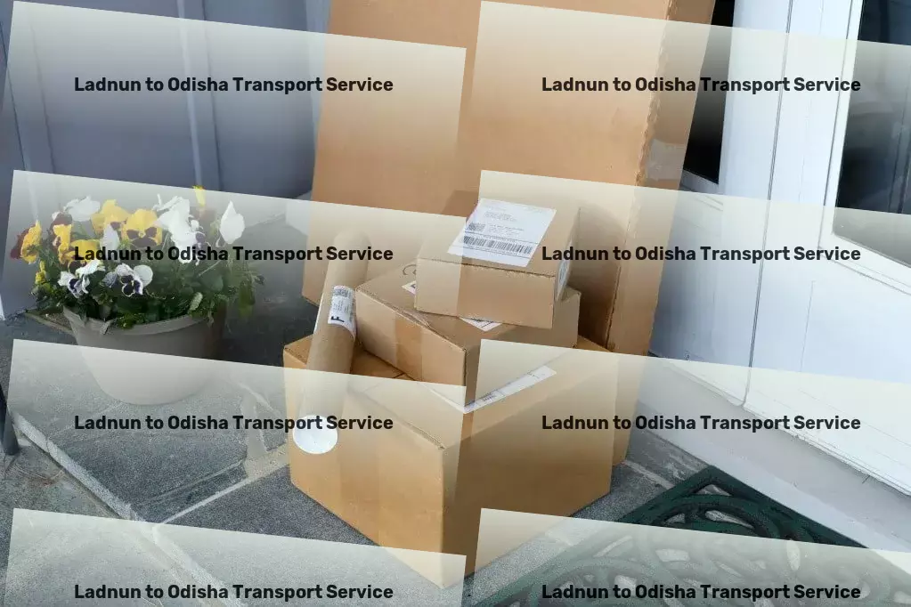 Ladnun to Odisha Transport Express cargo movers