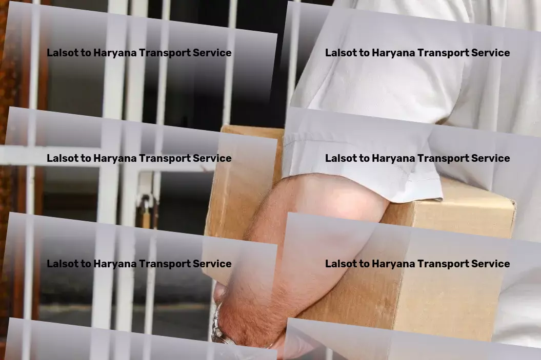 Lalsot to Haryana Transport Custom logistics solutions