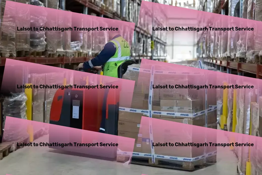 Lalsot to Chhattisgarh Transport Customized freight solutions