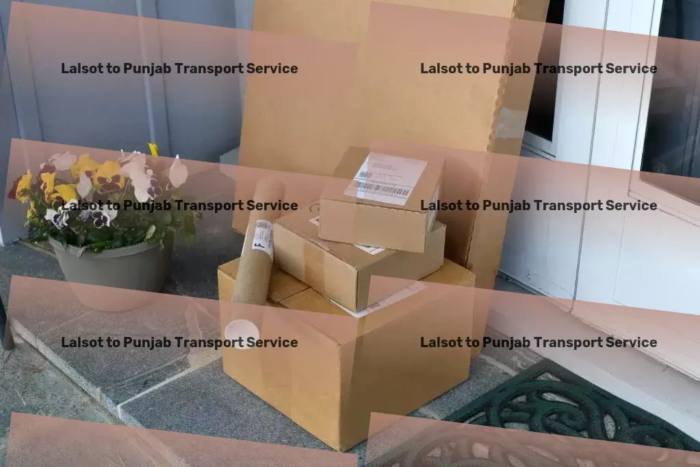 Lalsot to Punjab Transport Multi-city goods shipment